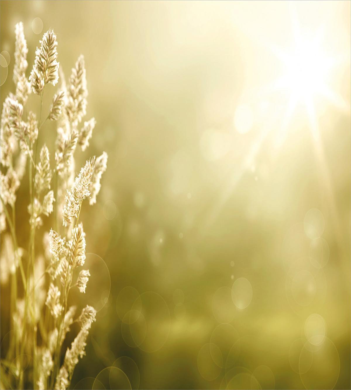 Scenic Autumn Meadow — Pattern