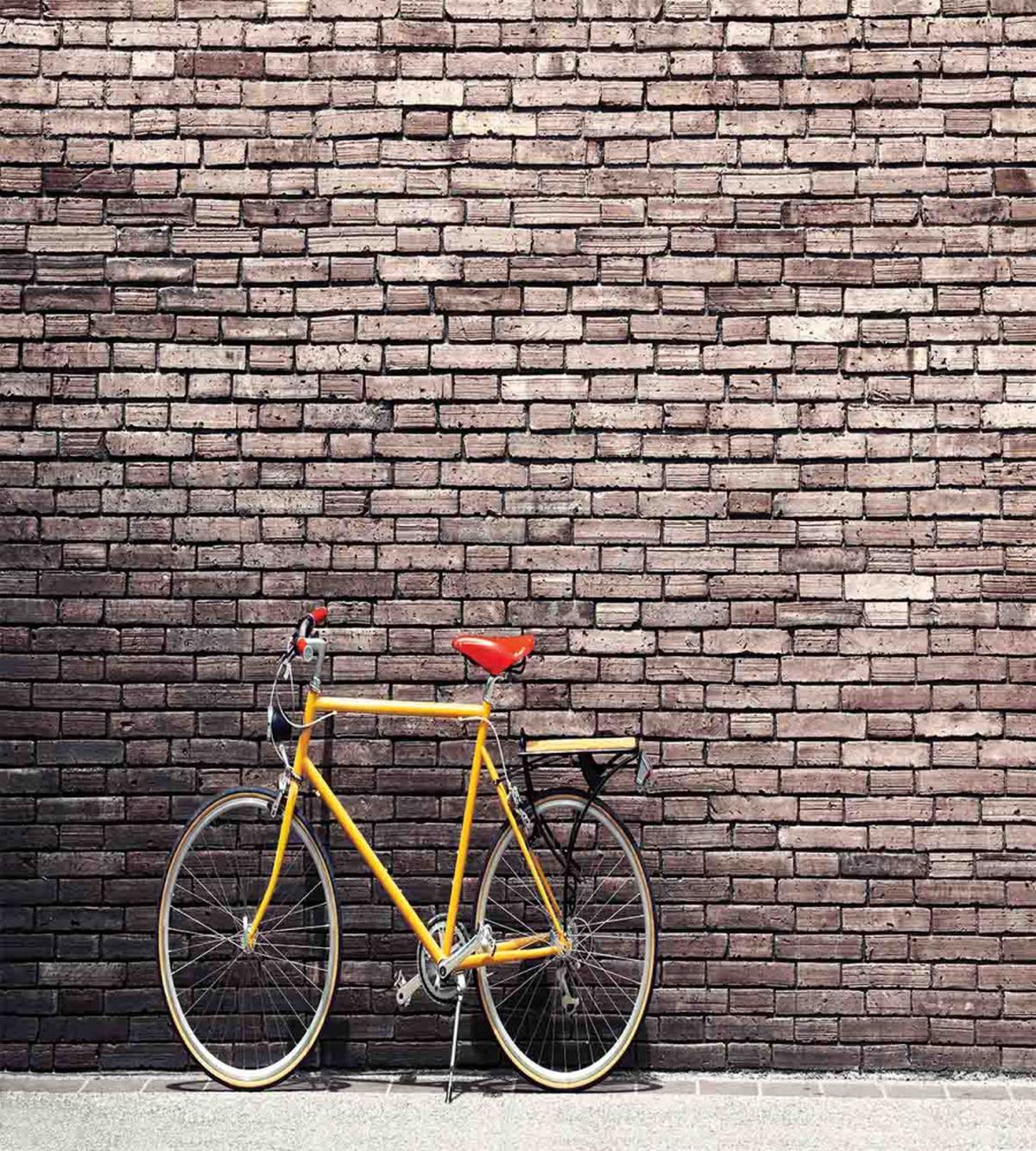 Retro Bicycle on Wall — Pattern