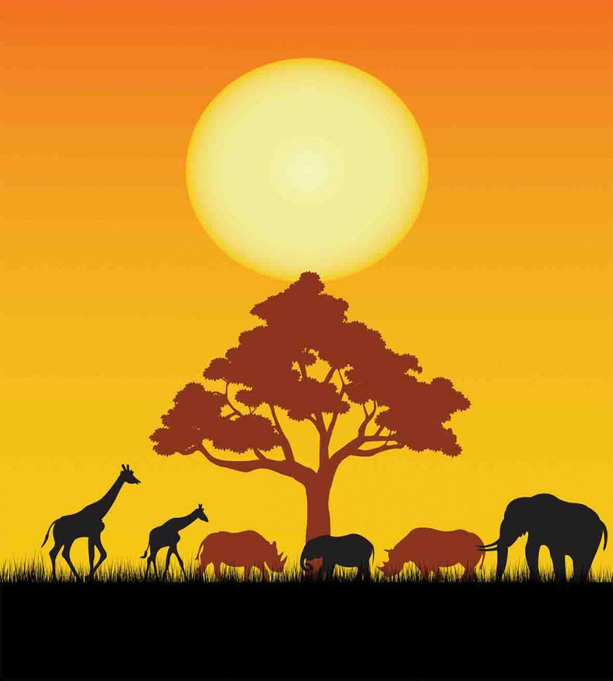Wildlife Animals Rhinos — Pattern