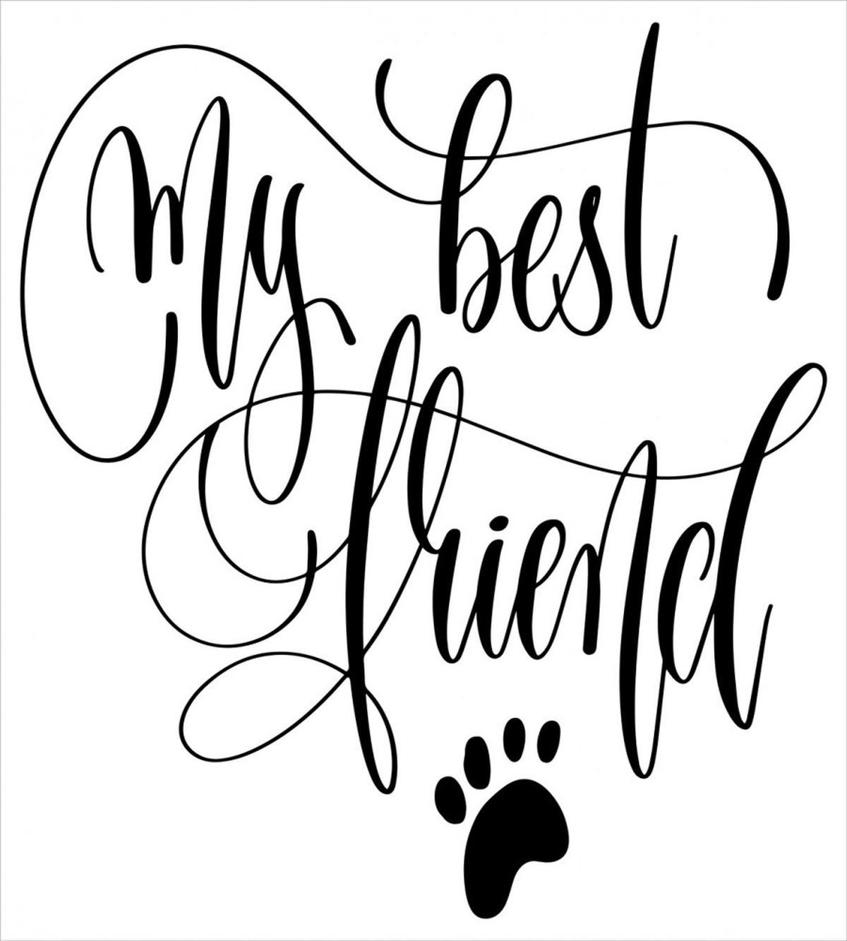 Positive Paws Words — Pattern