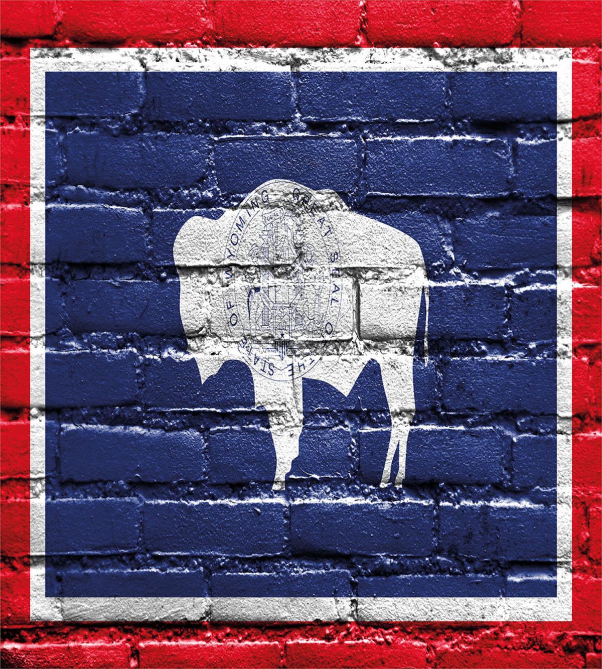 State Flag Paint on Bricks — Pattern