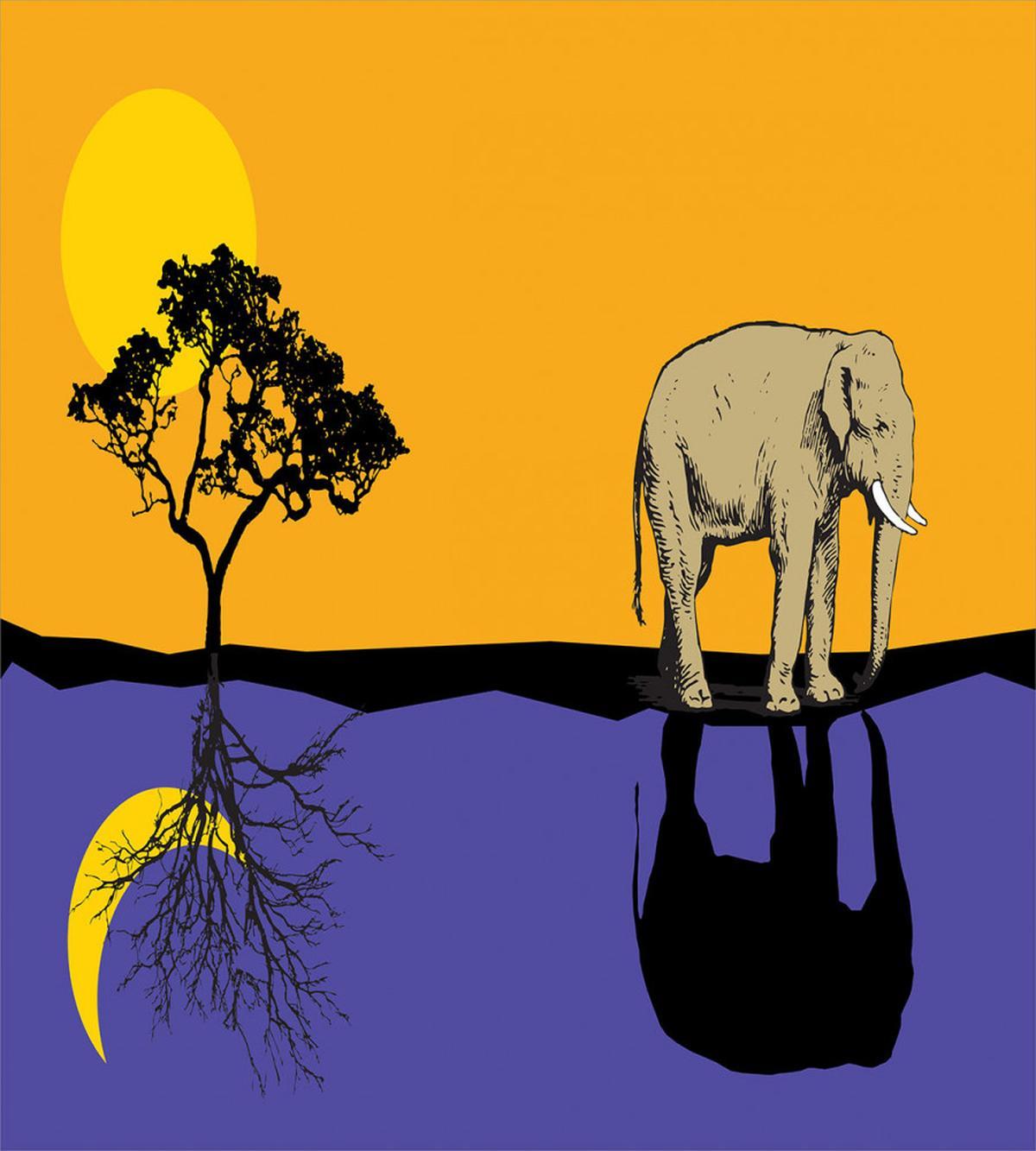 Reflection Animal — Pattern