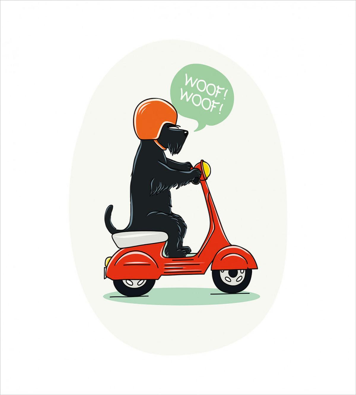 Scooter Ridding Puppies — Pattern