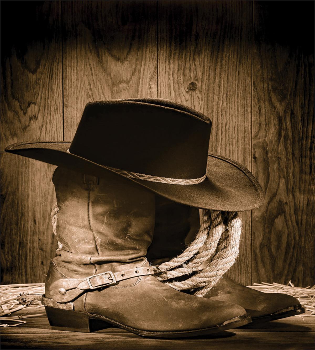 Wild Cowboy Hat Wooden — Pattern