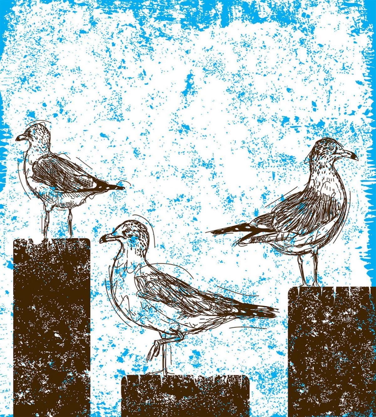 Grungy Sketch Seagulls — Pattern