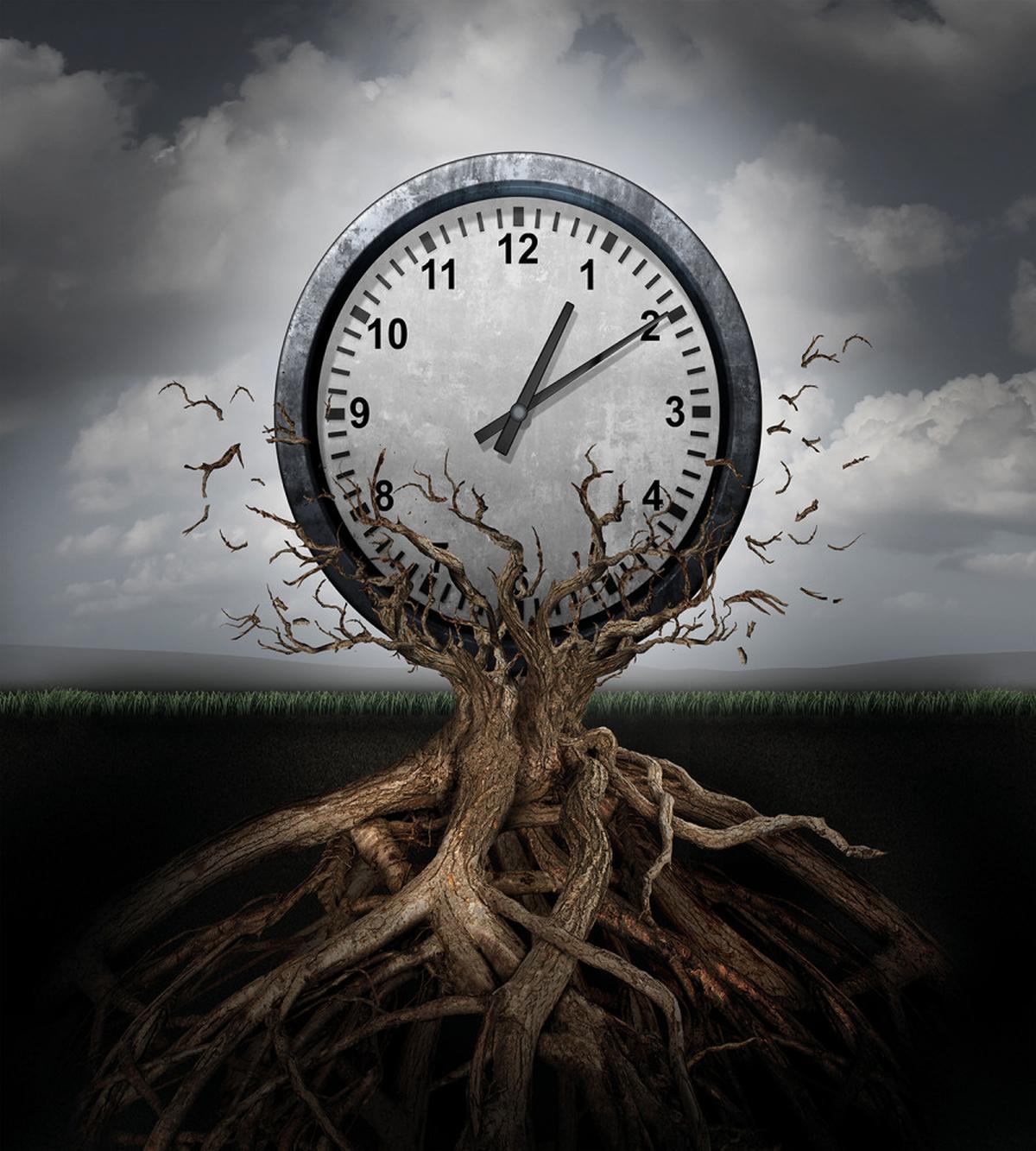 Clock Surrealist — Pattern