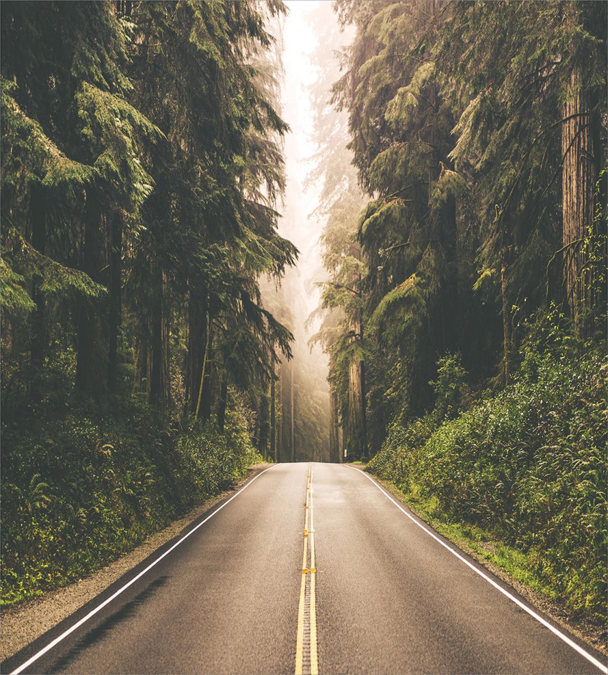 California USA Roads — Pattern
