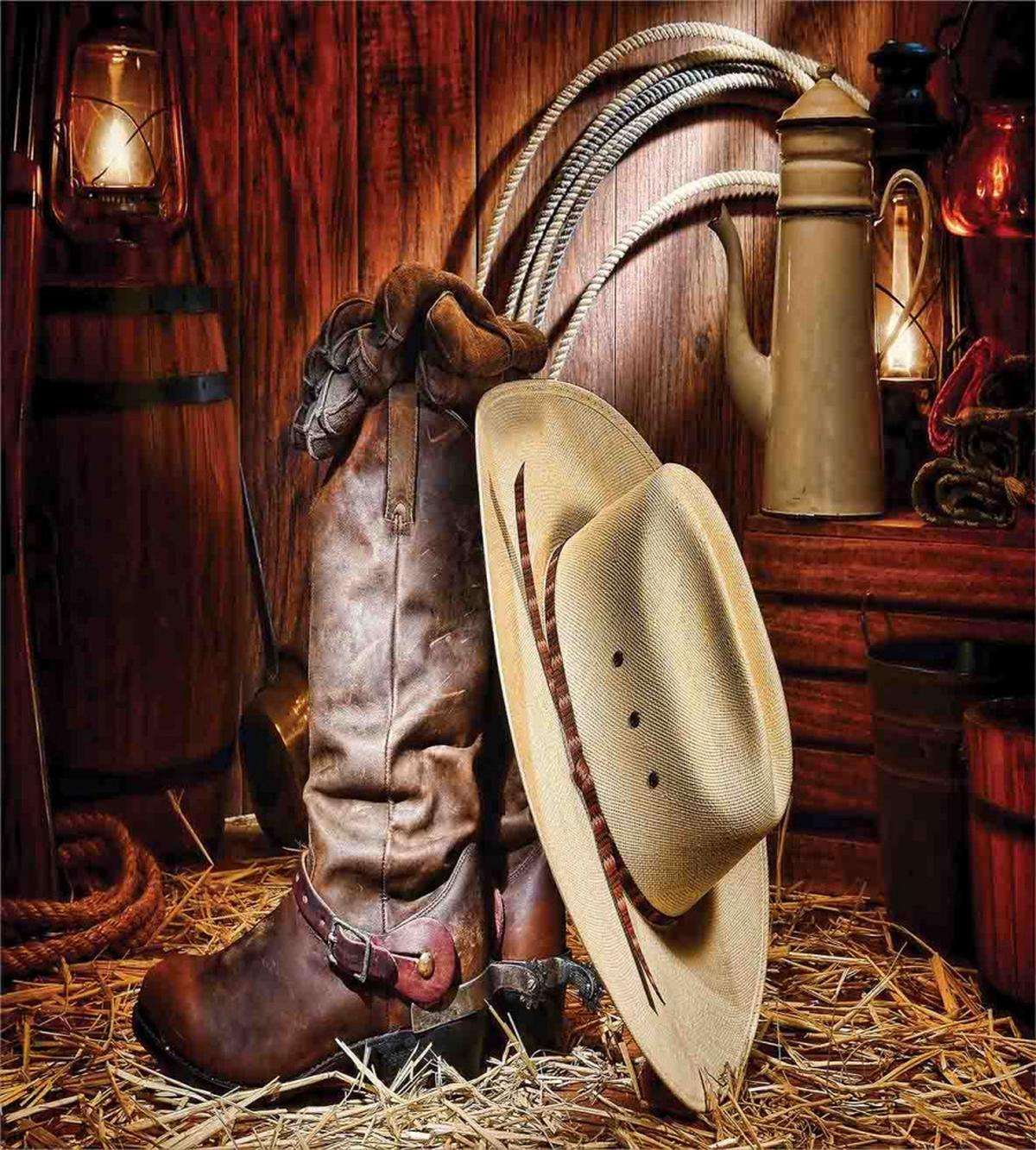 America Retro Rodeo — Pattern