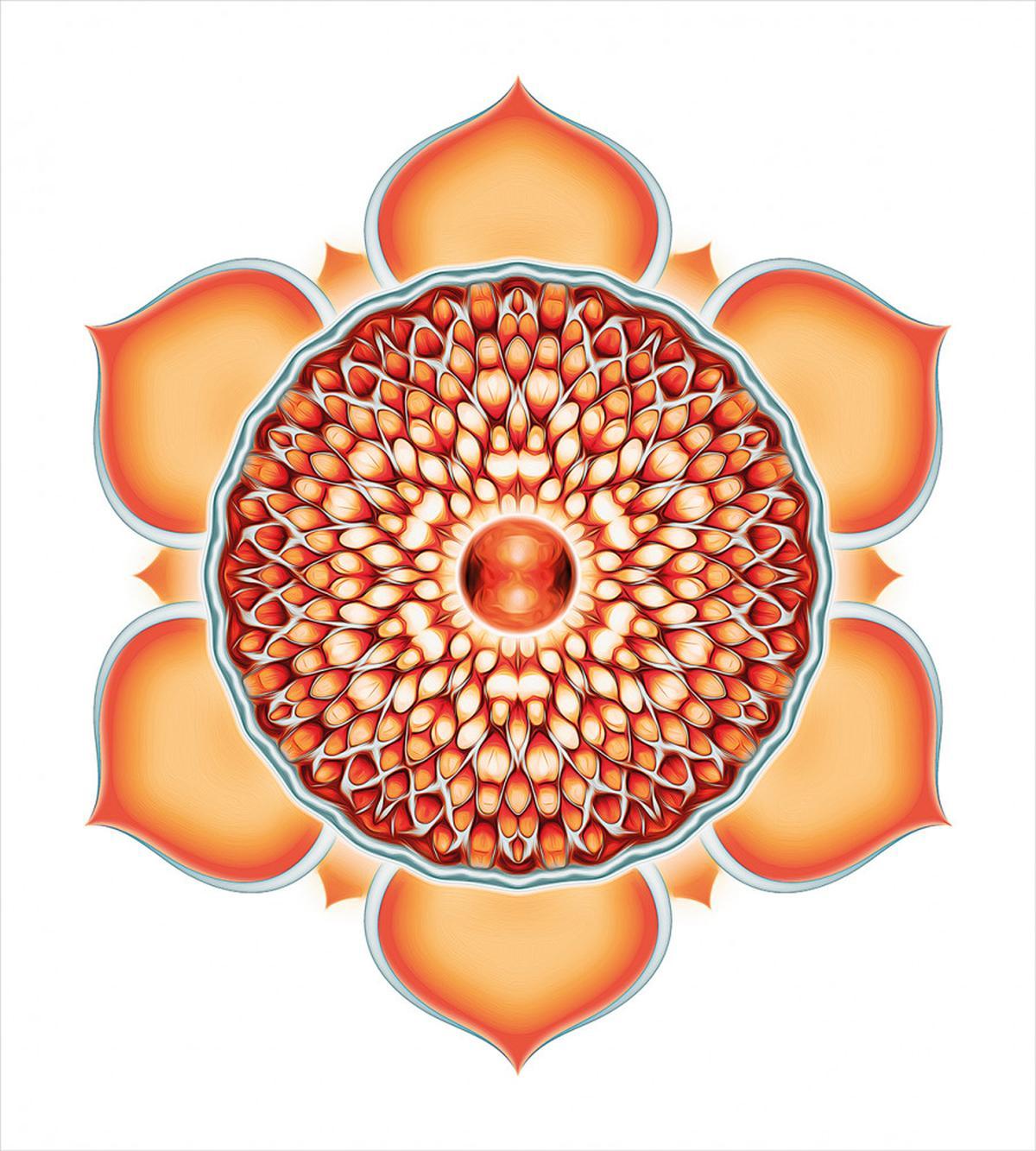 Harmony Motif — Pattern