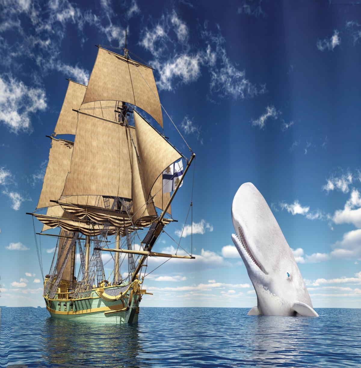 Pirate Ship and Mammal Fish — Pattern