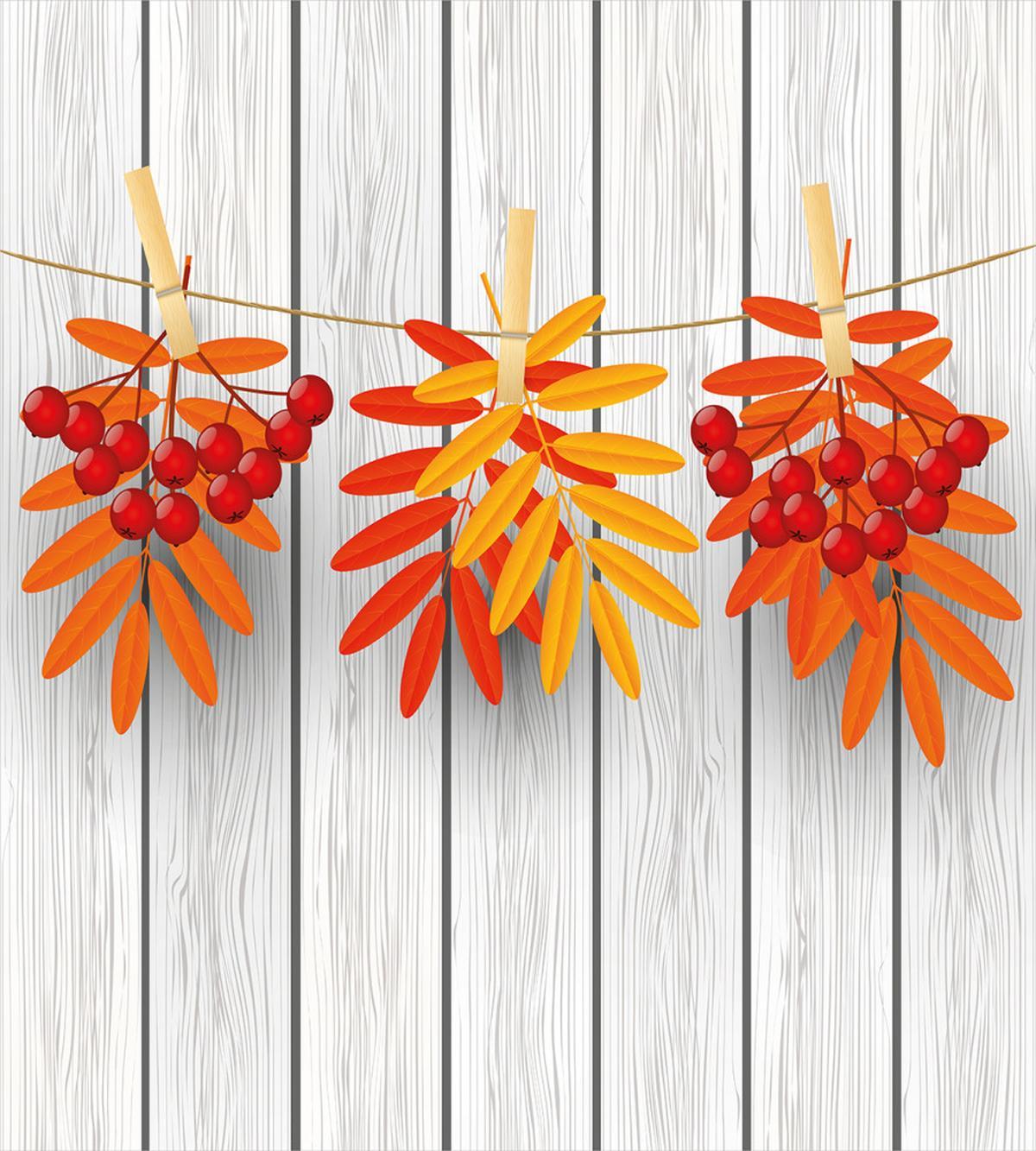 Clothes Pin on a String — Pattern