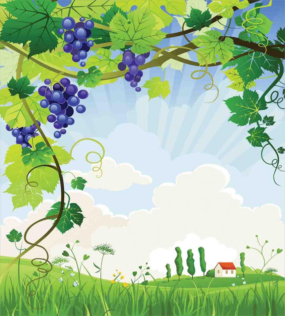 Rural Countryside Grapes — Pattern