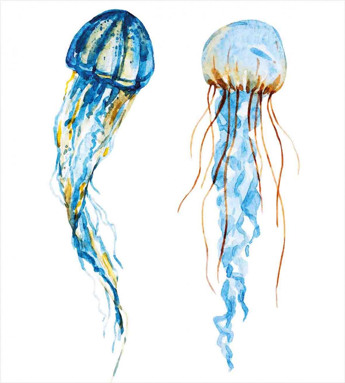 Jellyfish Exotic Sea — Pattern