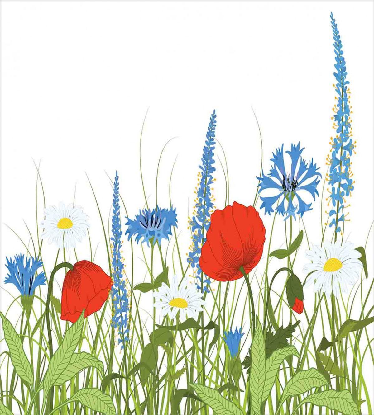 Bloomed Poppy Flowers — Pattern