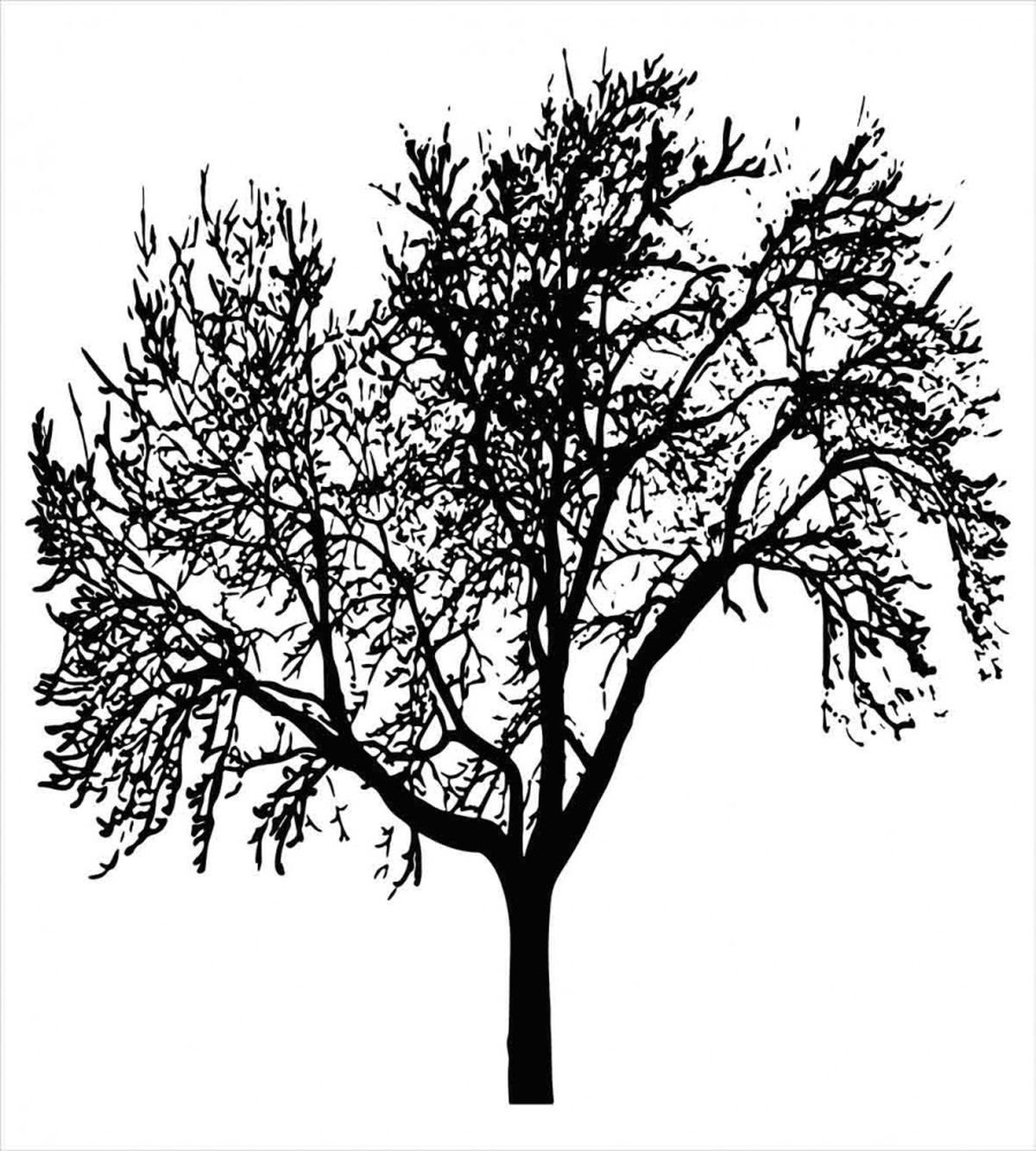 Bare Branches Silhouette Art — Pattern