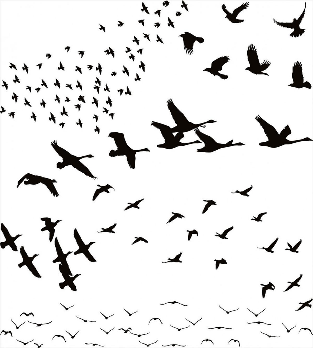 Monochrome Flying Birds — Pattern