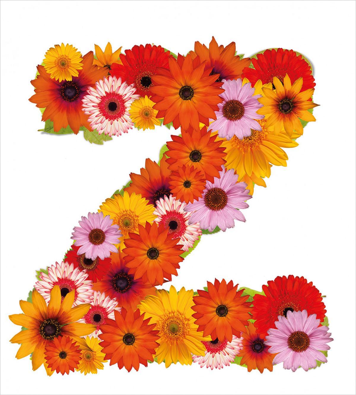 Flower Themed Z — Pattern