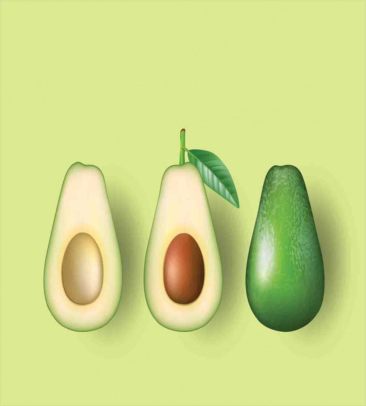 Realistic Half Avocado — Pattern