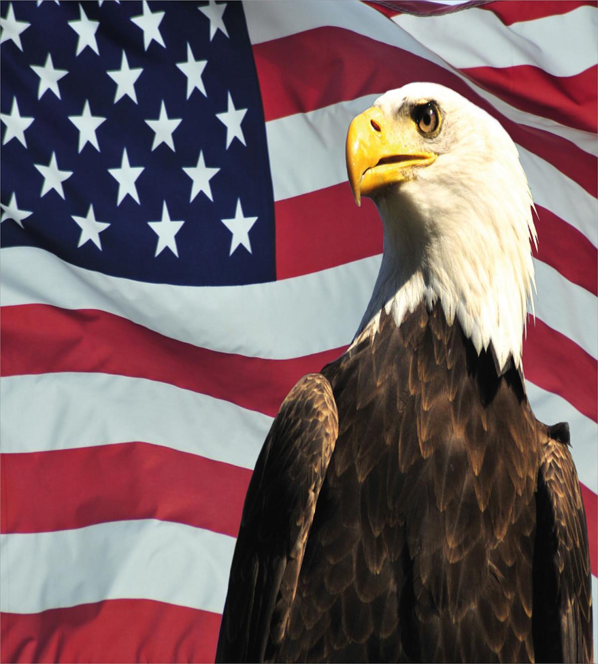 US Flag Country — Pattern