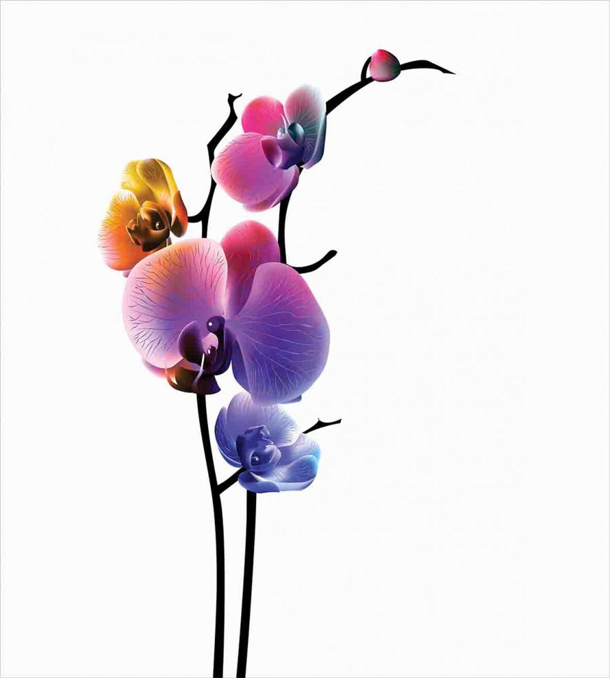 Vibrant Flowering Plant — Pattern