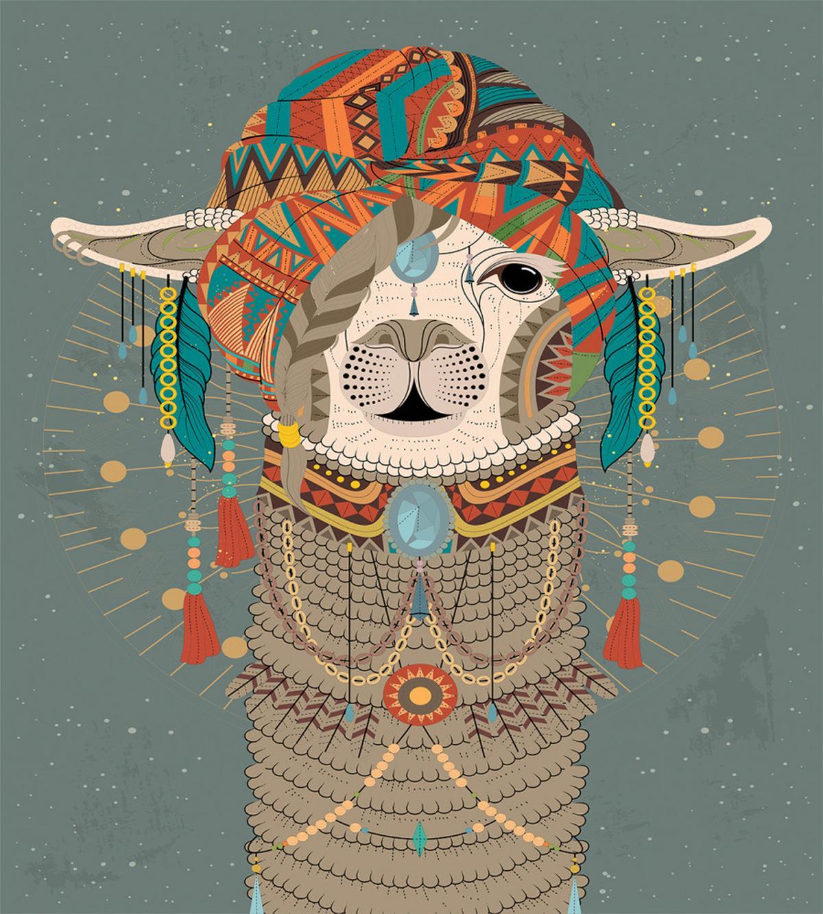 Clothing Alpaca — Pattern