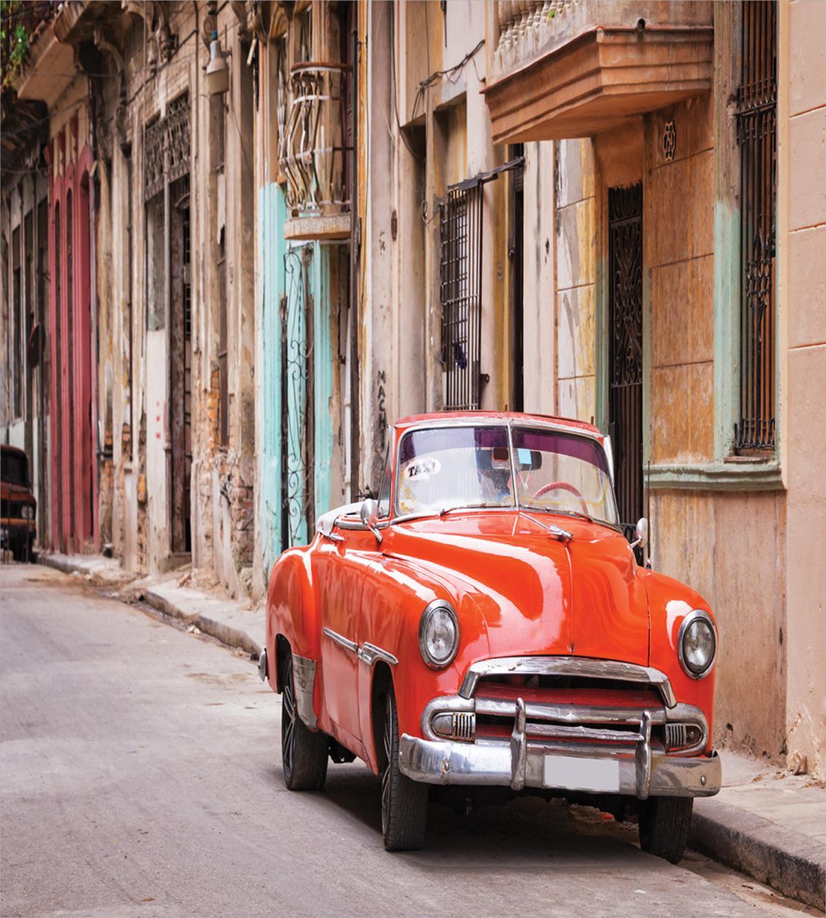 Classical American Havana — Pattern