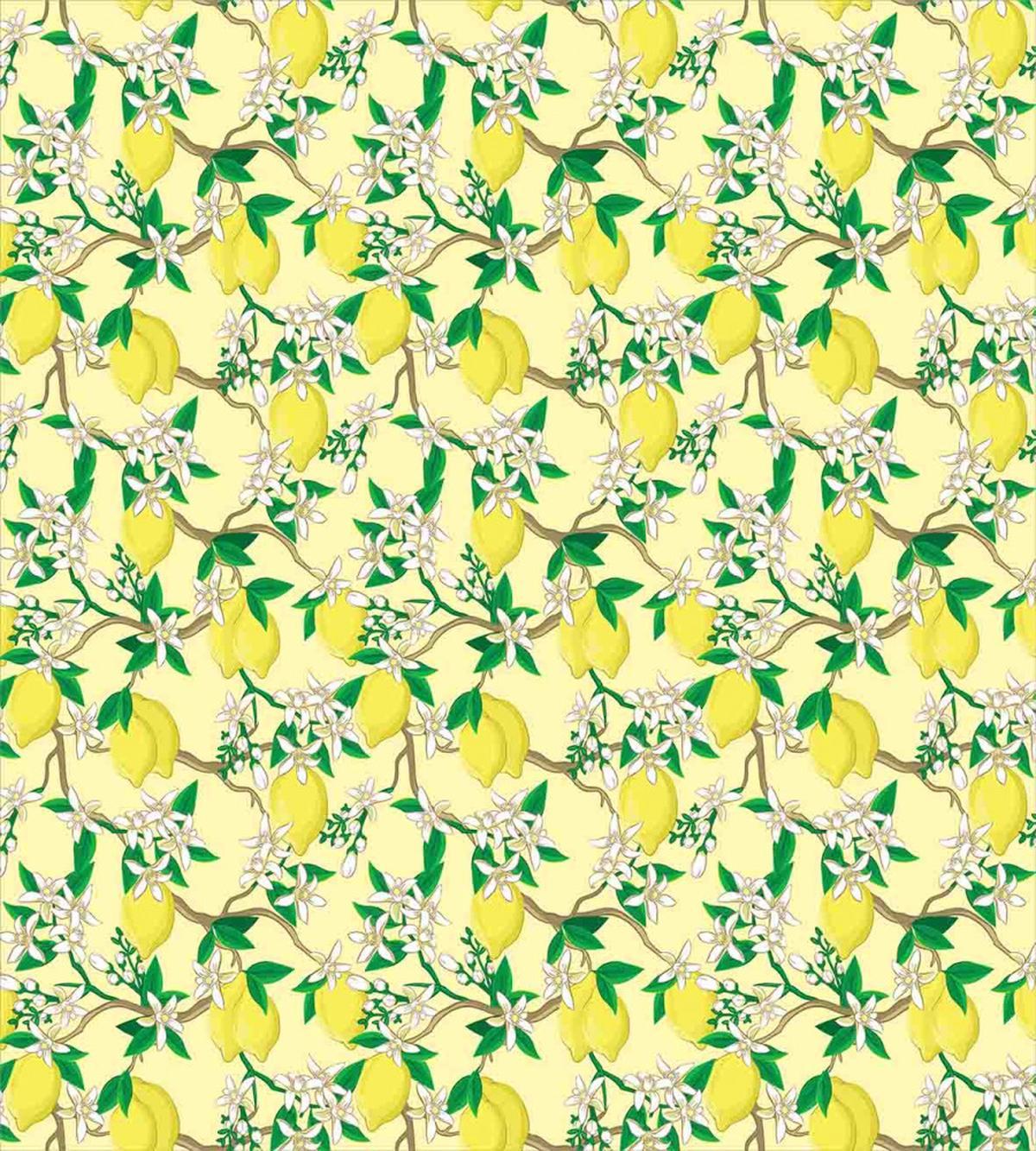 Blooming Lemon Flowers — Pattern