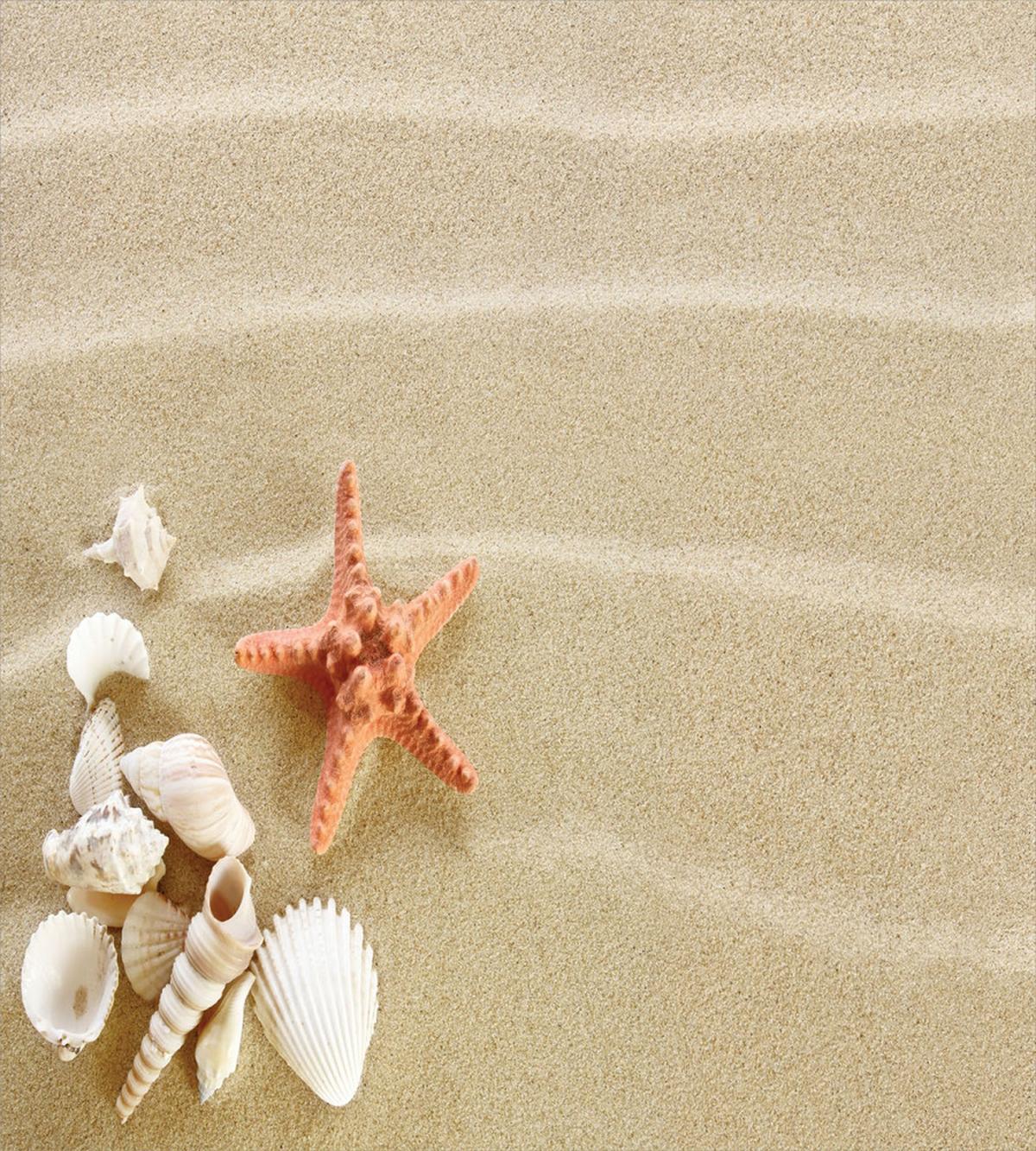 Exotic Seashells with Sand — Pattern