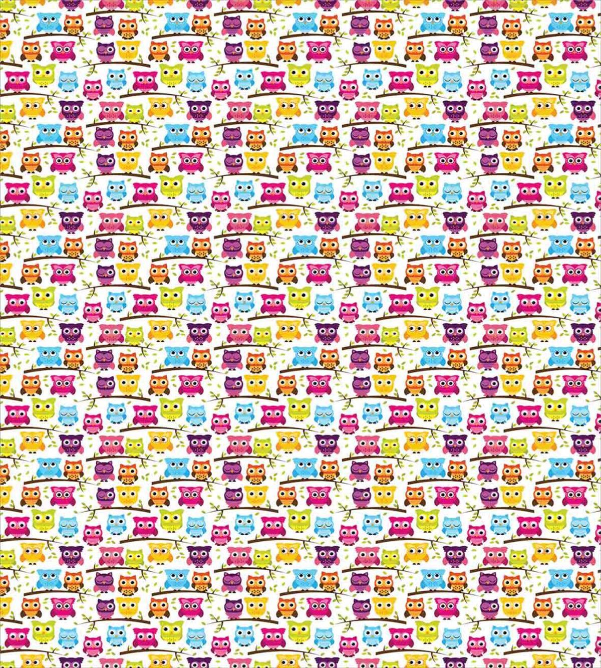 Winking Long-Eared Owl — Pattern