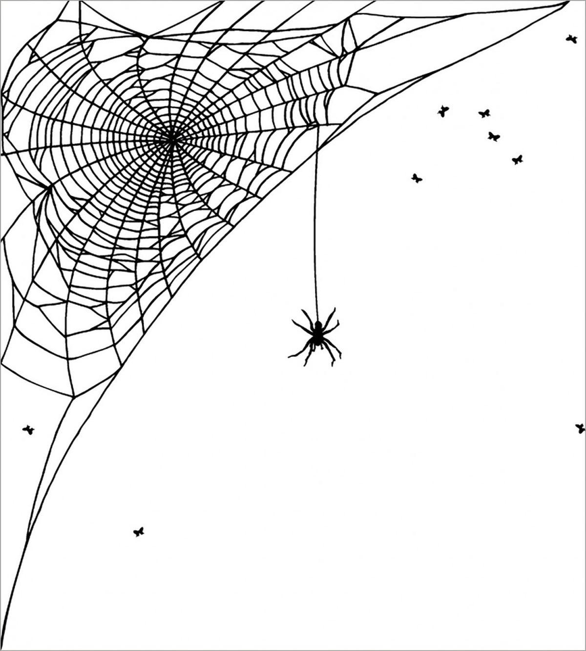 Corner Net Bug Flies — Pattern