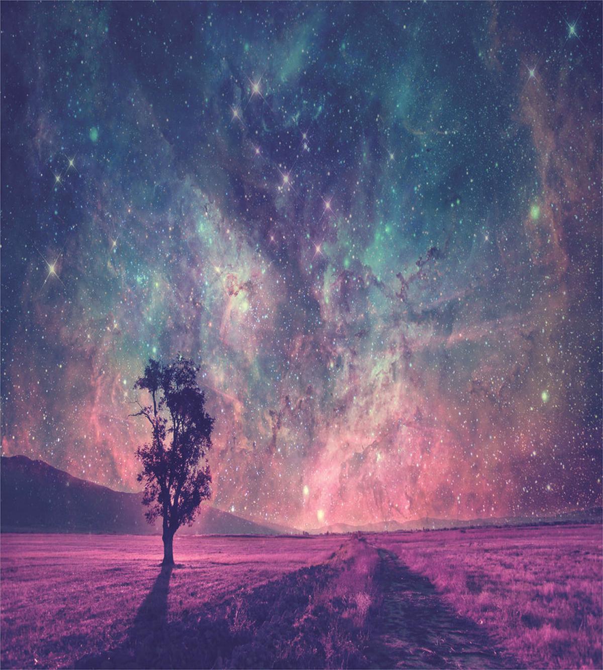 Lonely Tree View — Pattern