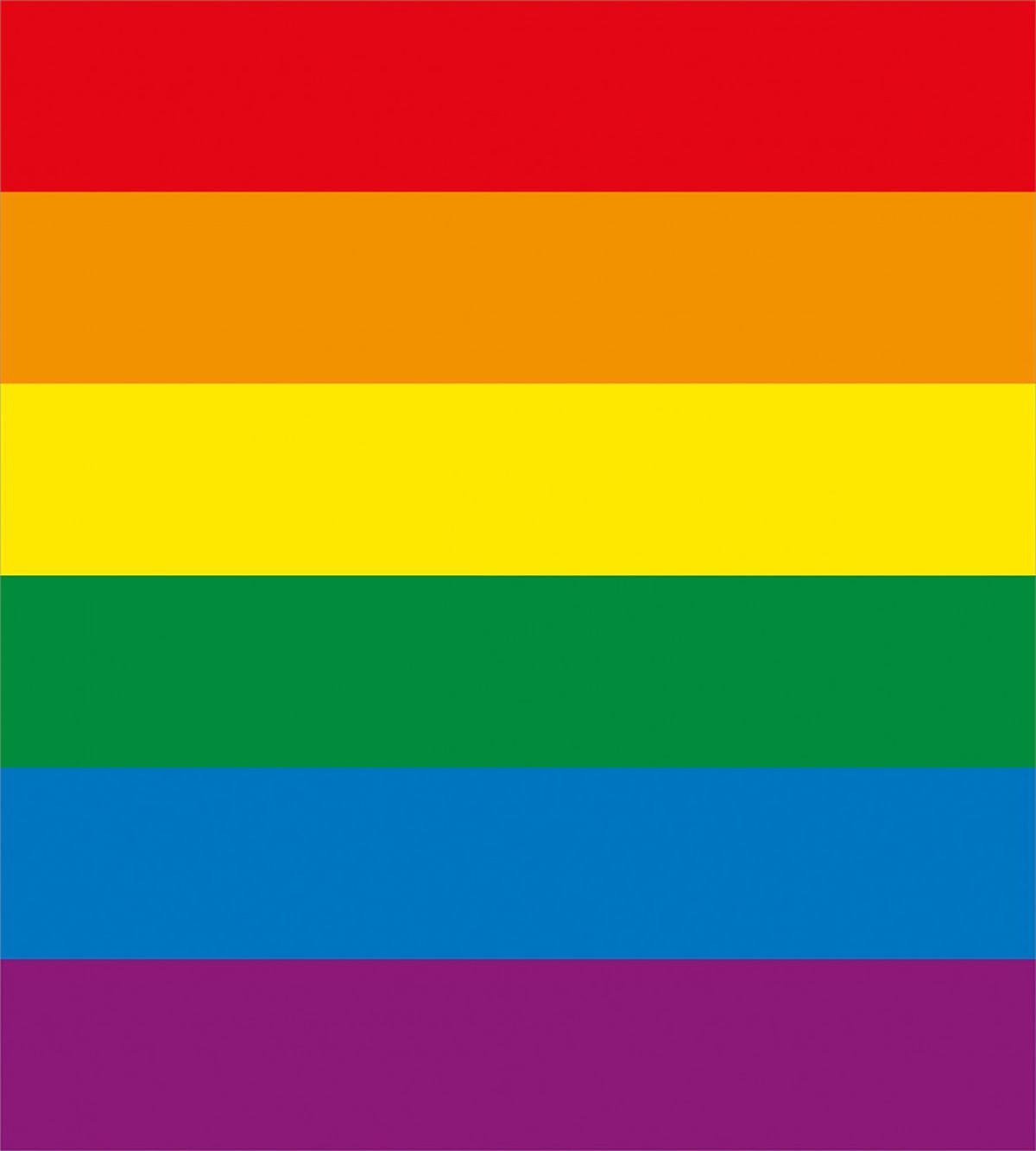 Gay Parade Flag Freedom — Pattern