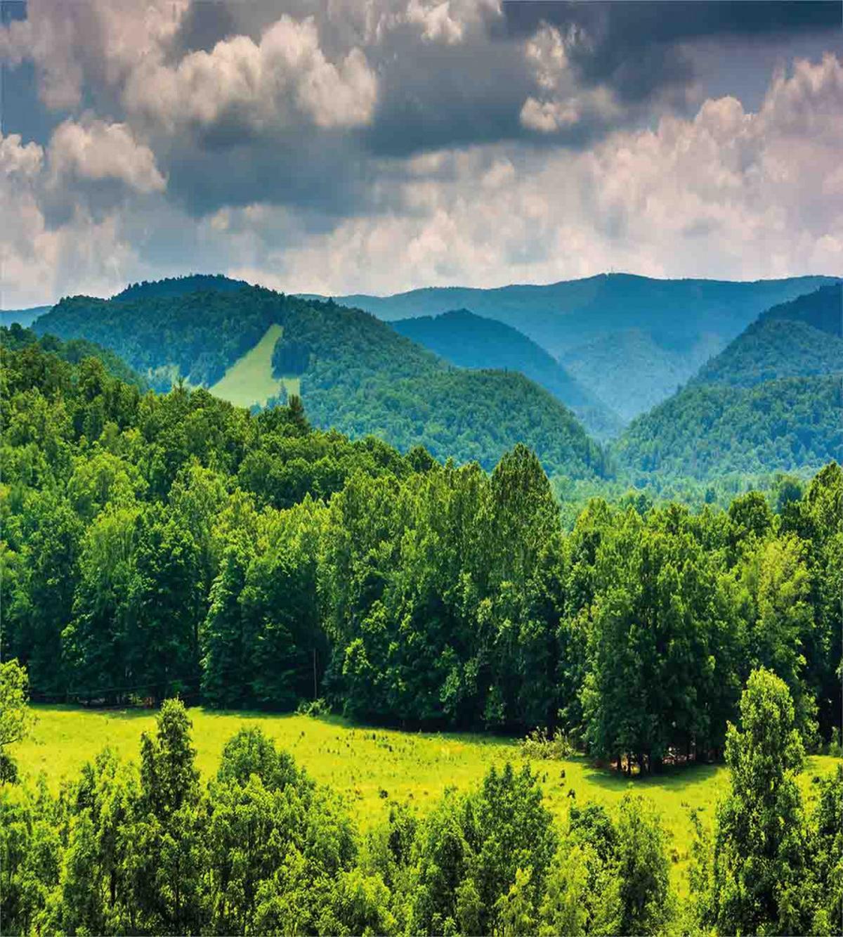 Landscape of Mountains — Pattern