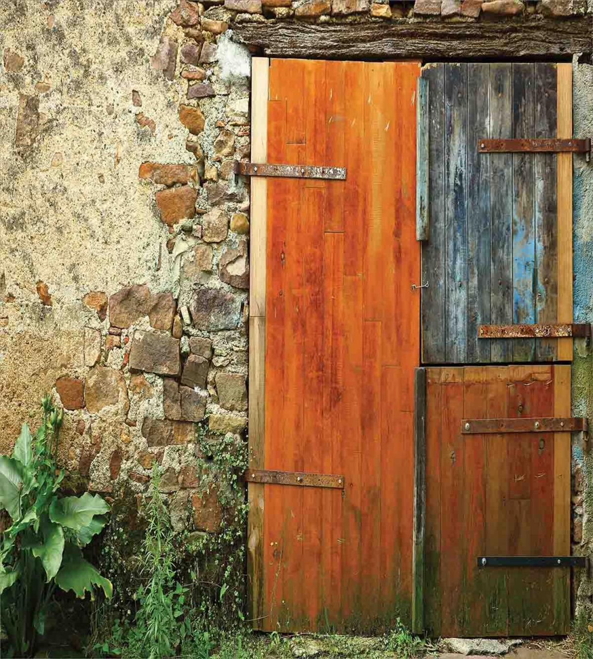 Old French Wooden Door — Pattern