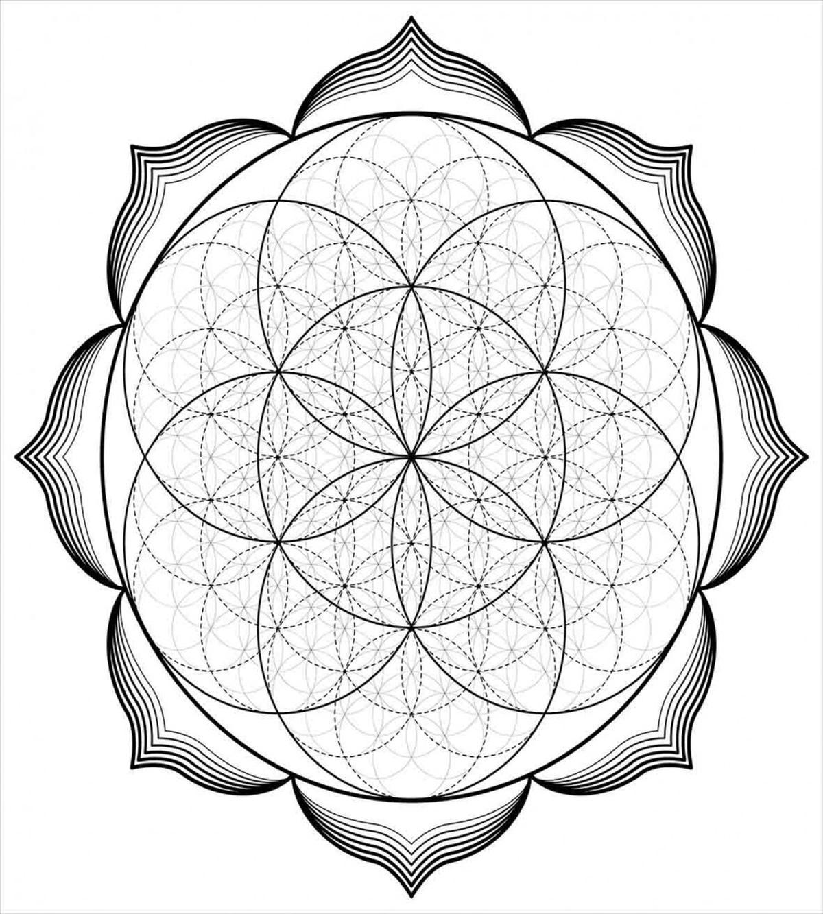 Flower of Life Middle East — Pattern