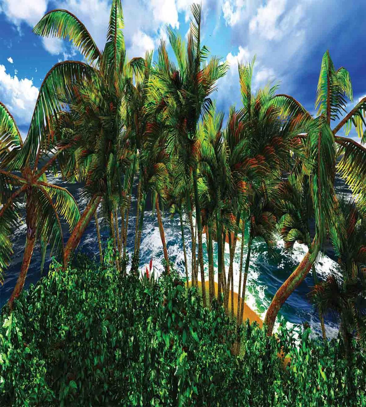 Hawaii Island Palm Tree — Pattern