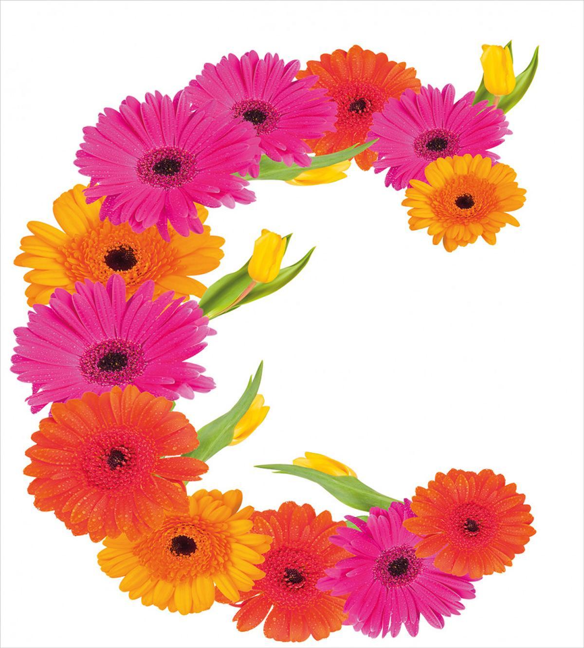 Vivid Floral Bouquet — Pattern