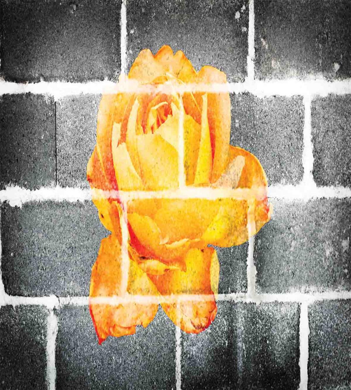 Warm Rose Brick Wall — Pattern