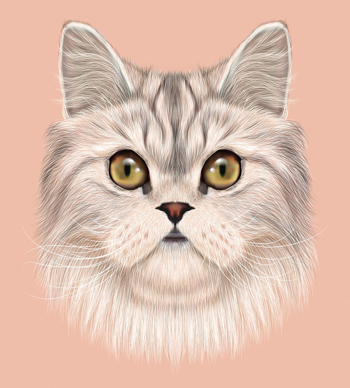 Love Cat Words Portrait — Pattern
