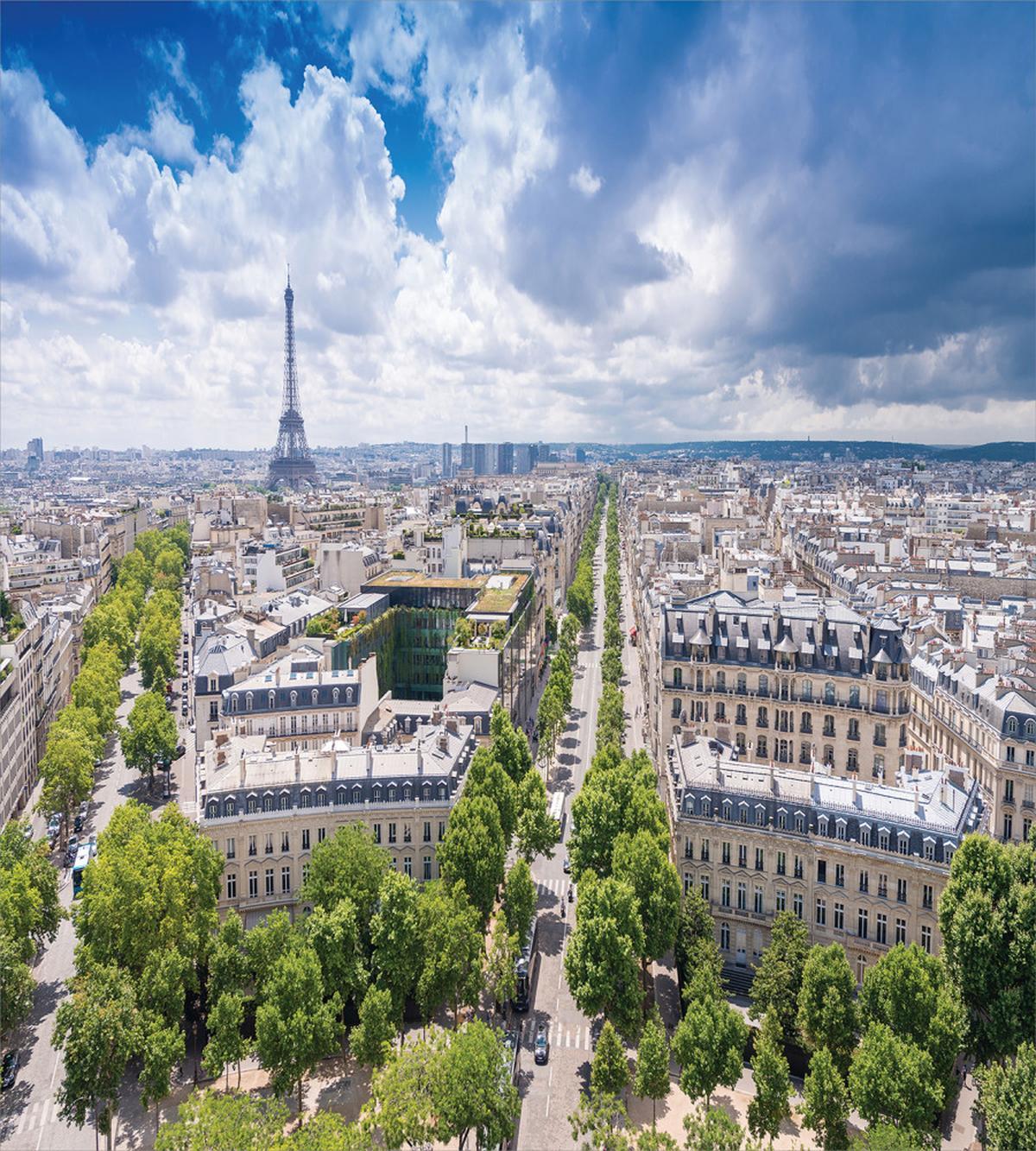 Aerial View Paris — Pattern