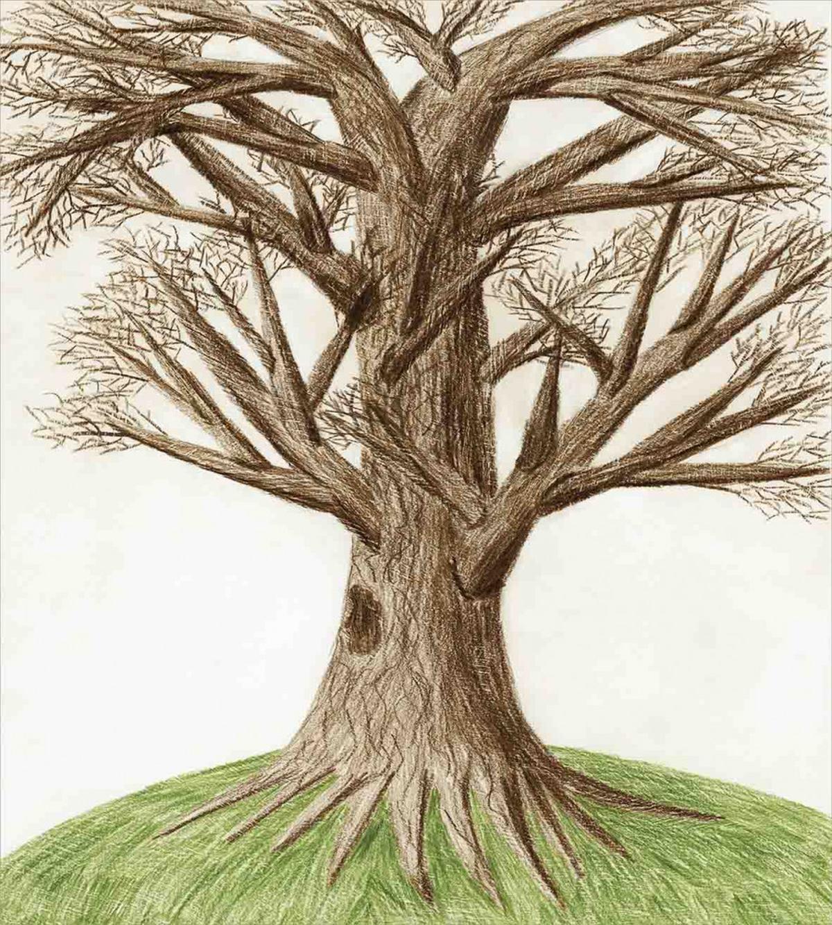 Sketch Nature — Pattern