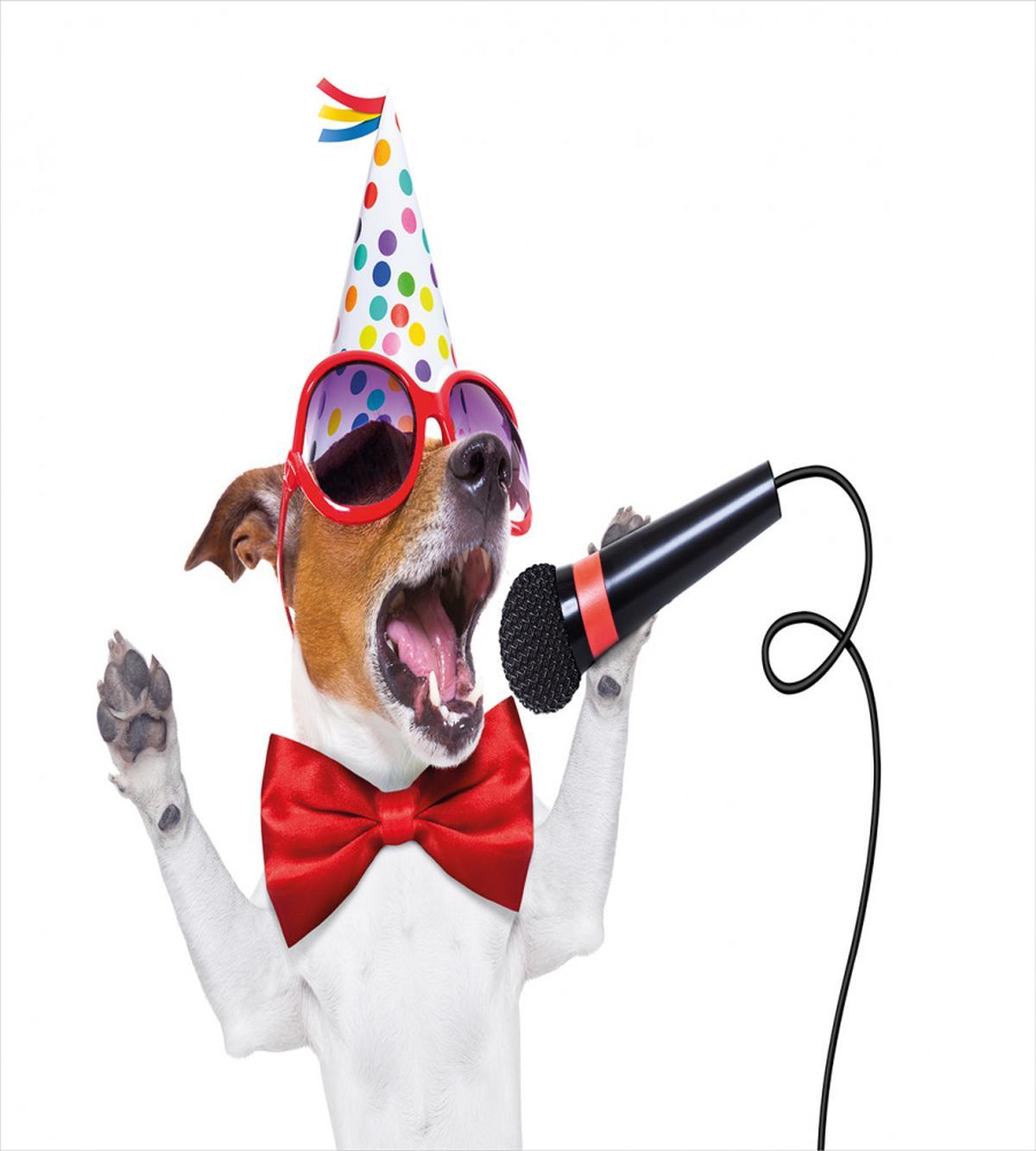 Birthday Doggy — Pattern