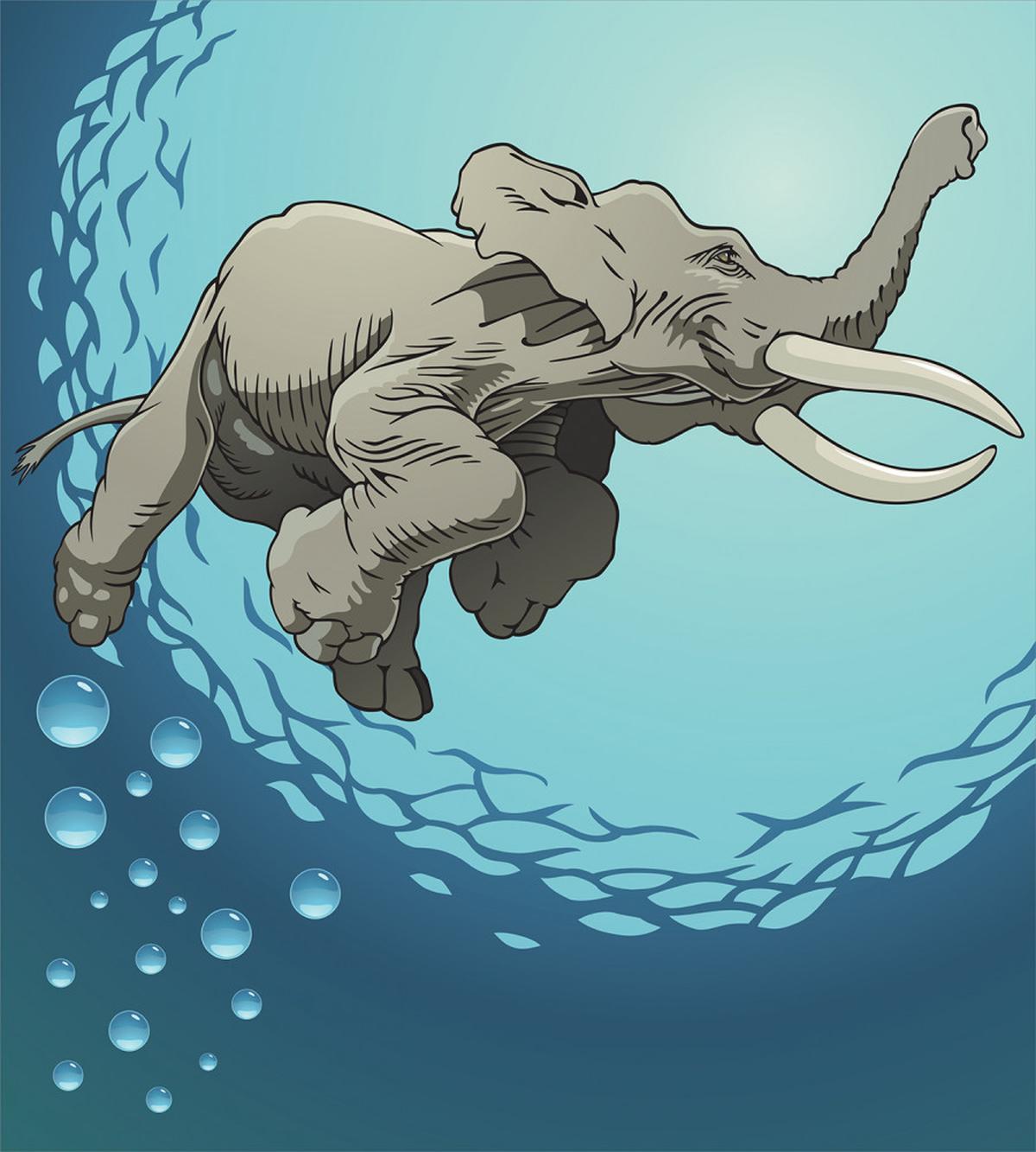 Elephant in Tropic Ocean — Pattern