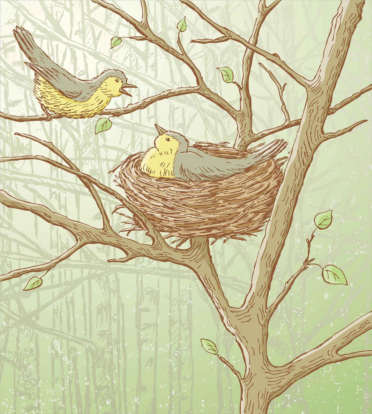 Tree Animals Spring Woods — Pattern