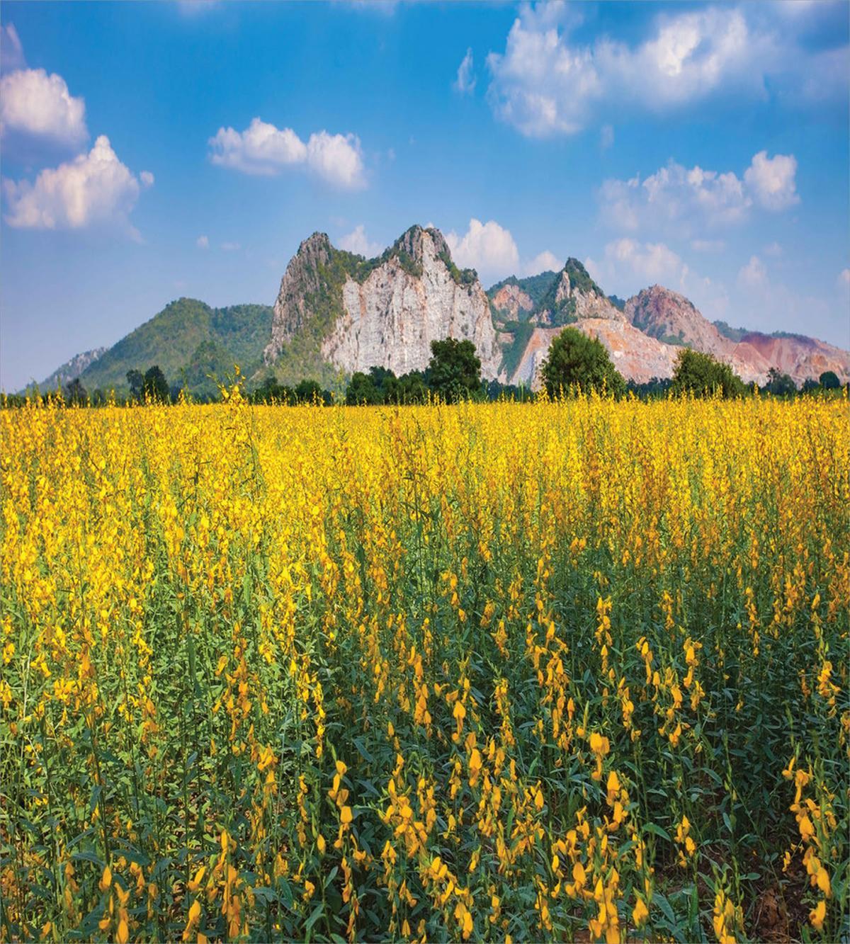 Sunhemp Flowers in a Meadow — Pattern