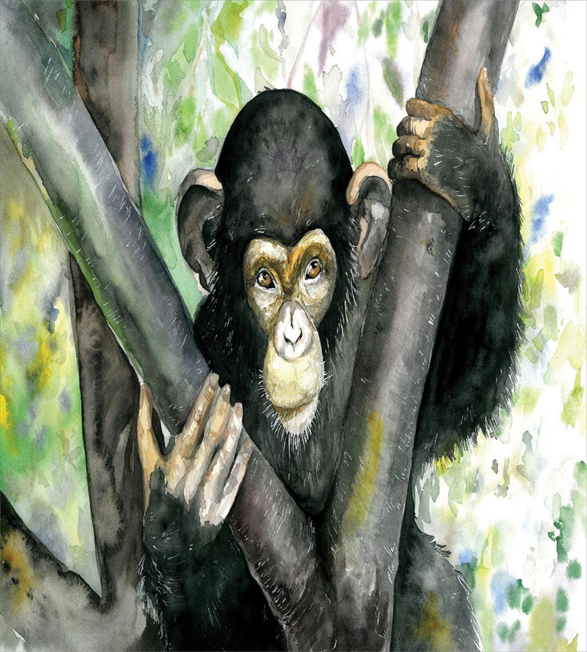 Watercolor Baby Chimpanzee — Pattern