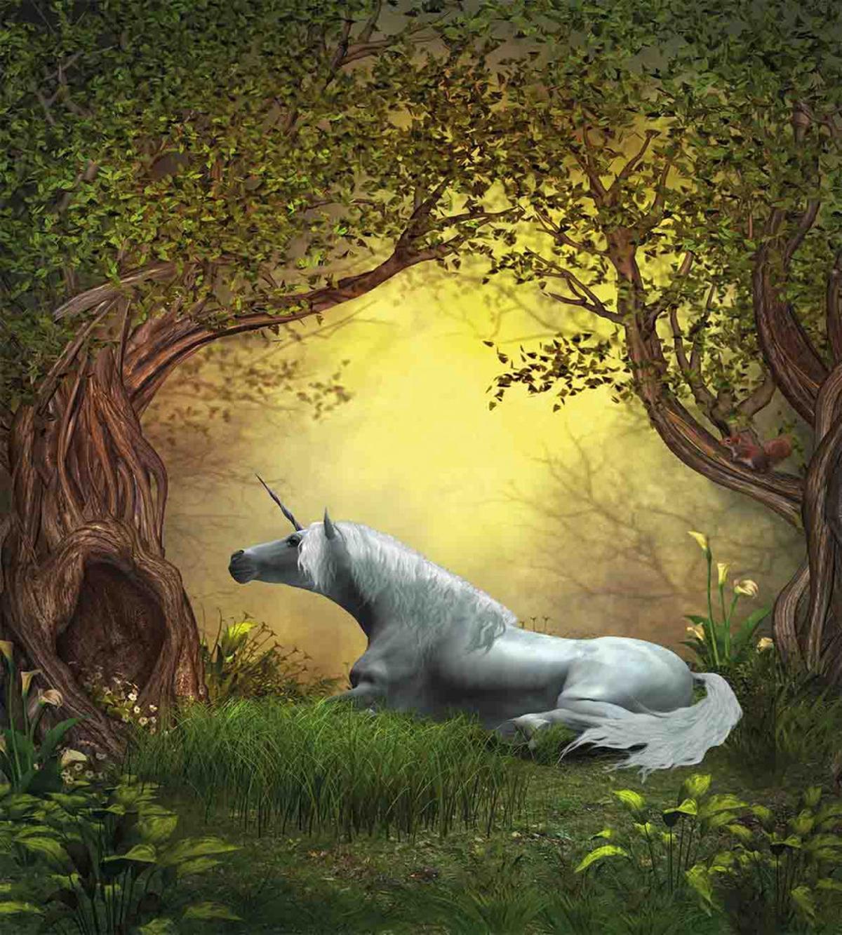Fantasy Forest — Pattern