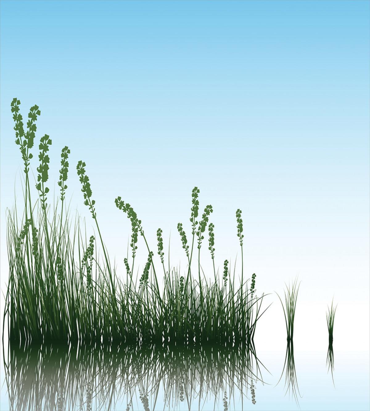 Scenery Lake Bushes — Pattern
