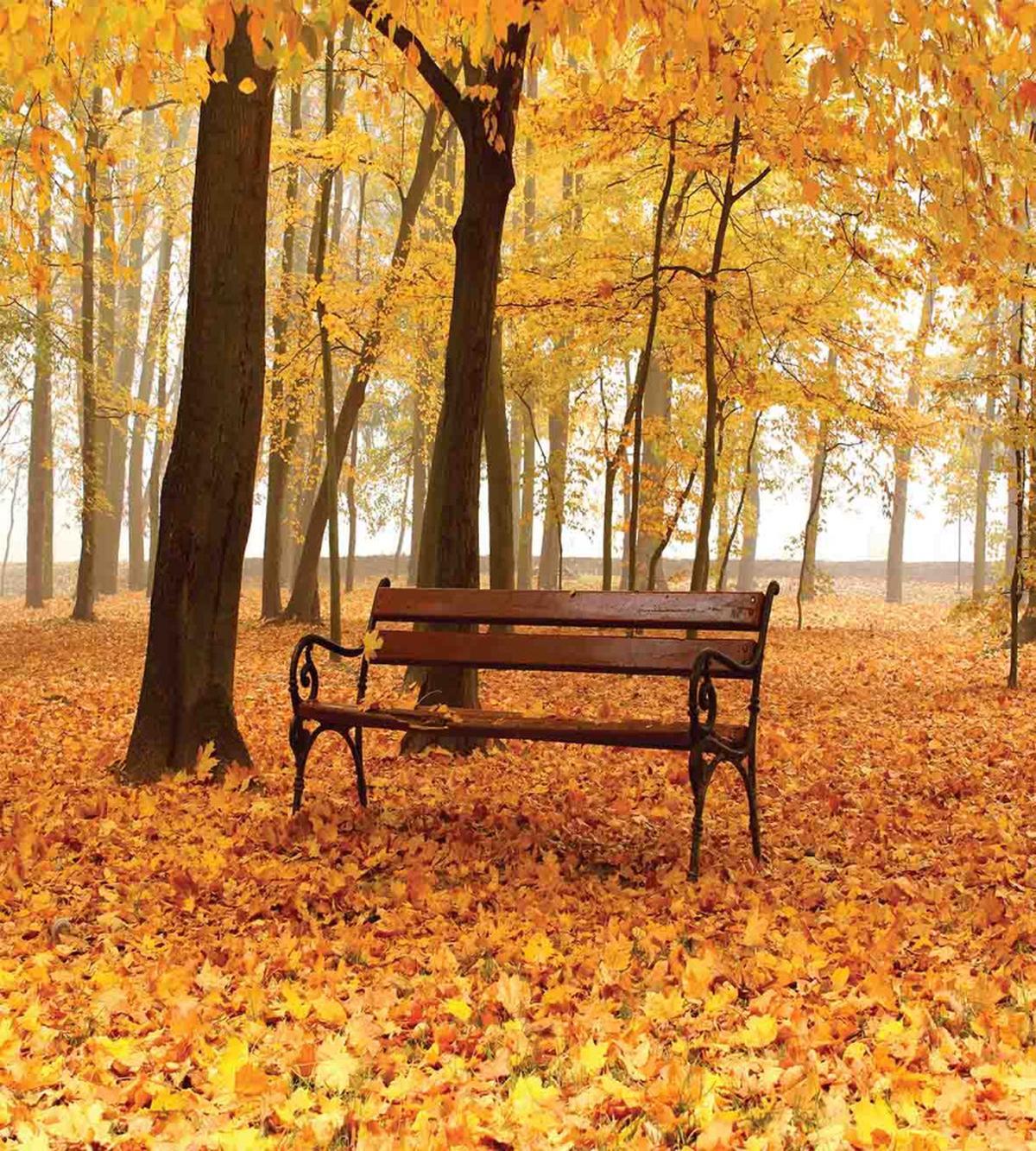 Misty Autumn Park Rustic — Pattern