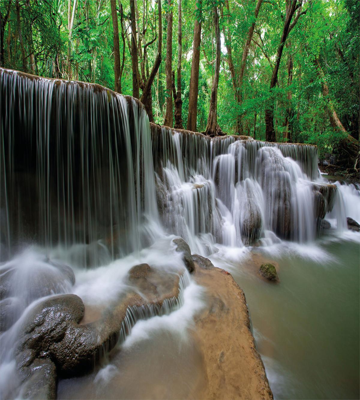 Tropical Forest Scenery — Pattern